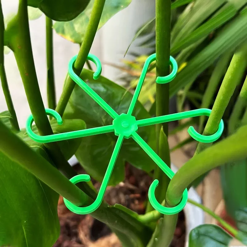 Flower Plant Stem Support Stak - Plant Support Stake review and price