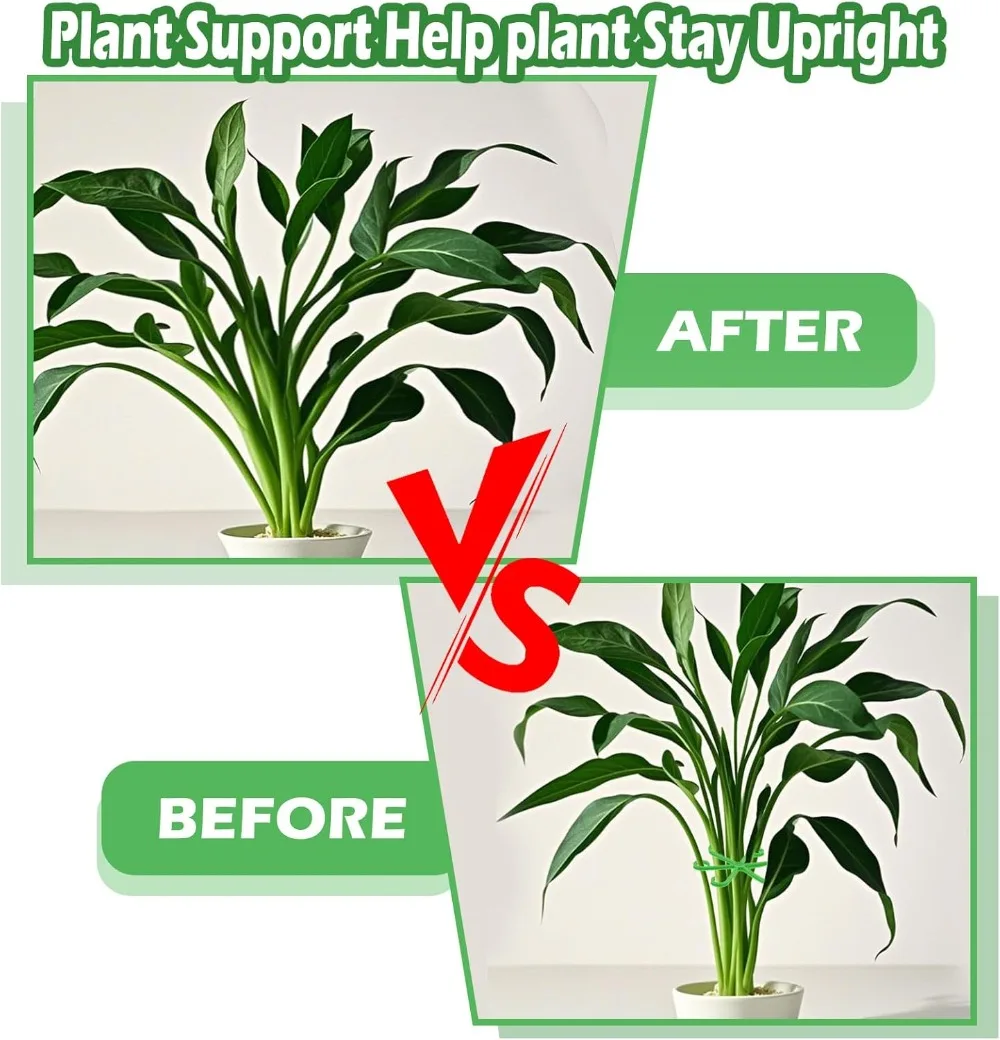 Flower Plant Stem Support Stak - Plant Support Stake review and price