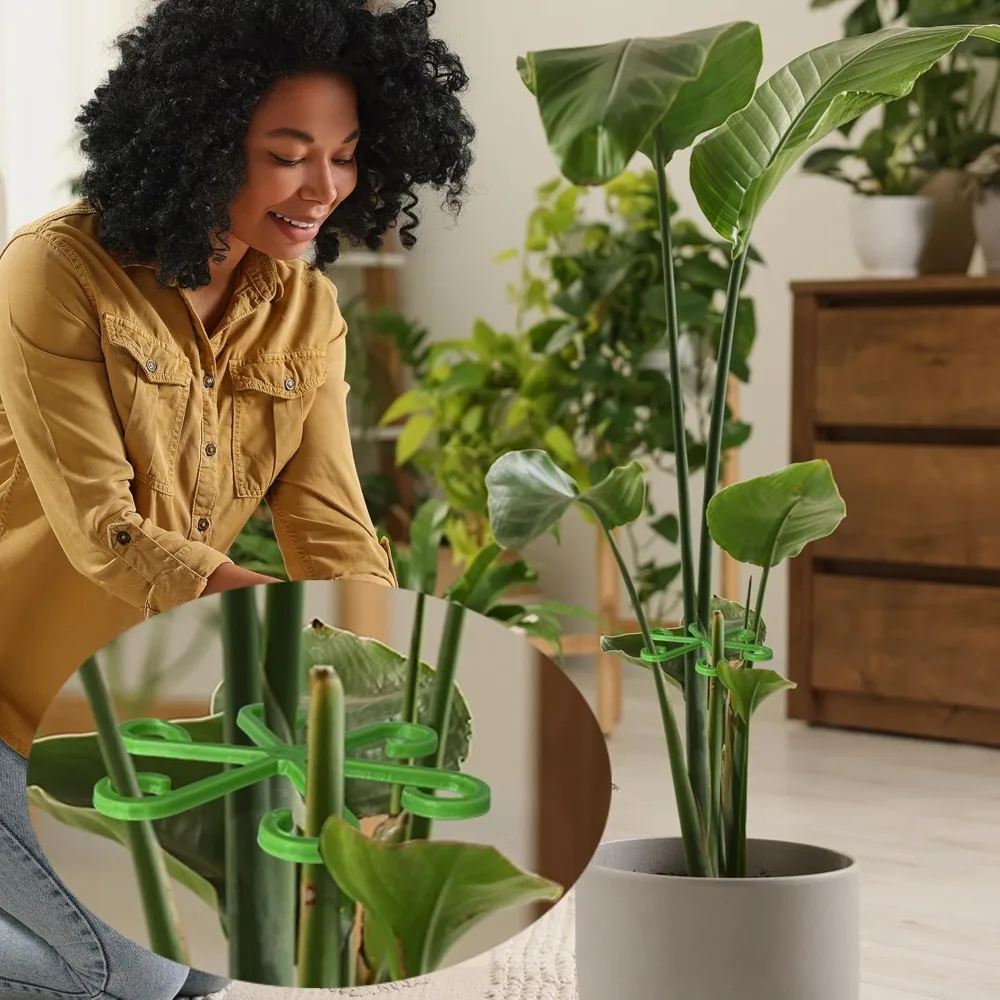 Flower Plant Stem Support Stak - Plant Support Stake review and price