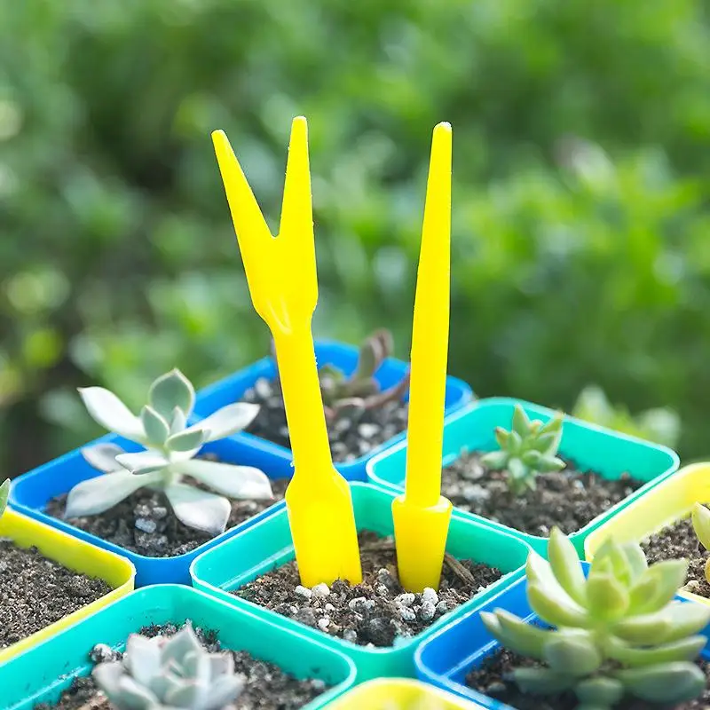 1/10Pcs Sowing Succulents Tran - Succulent Set review and price