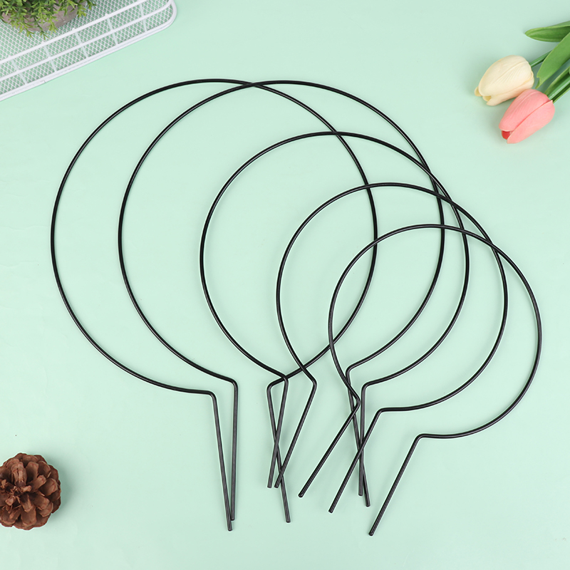2Pcs Iron Heart-Shaped Garden  - Plant Support Stake review and price