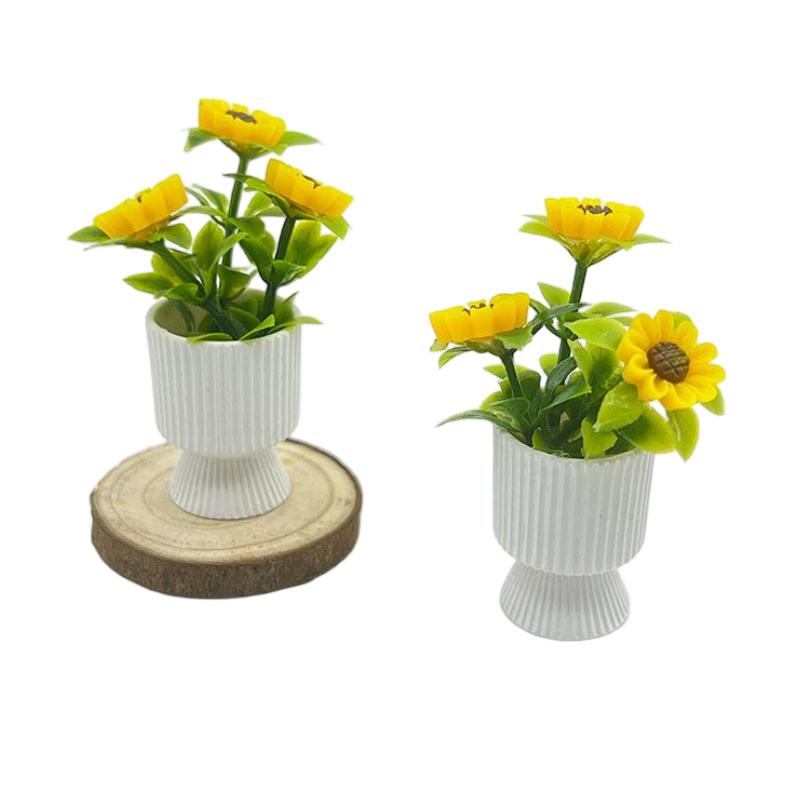 {#} Miniature Sunflower Potted - Pothos review and price