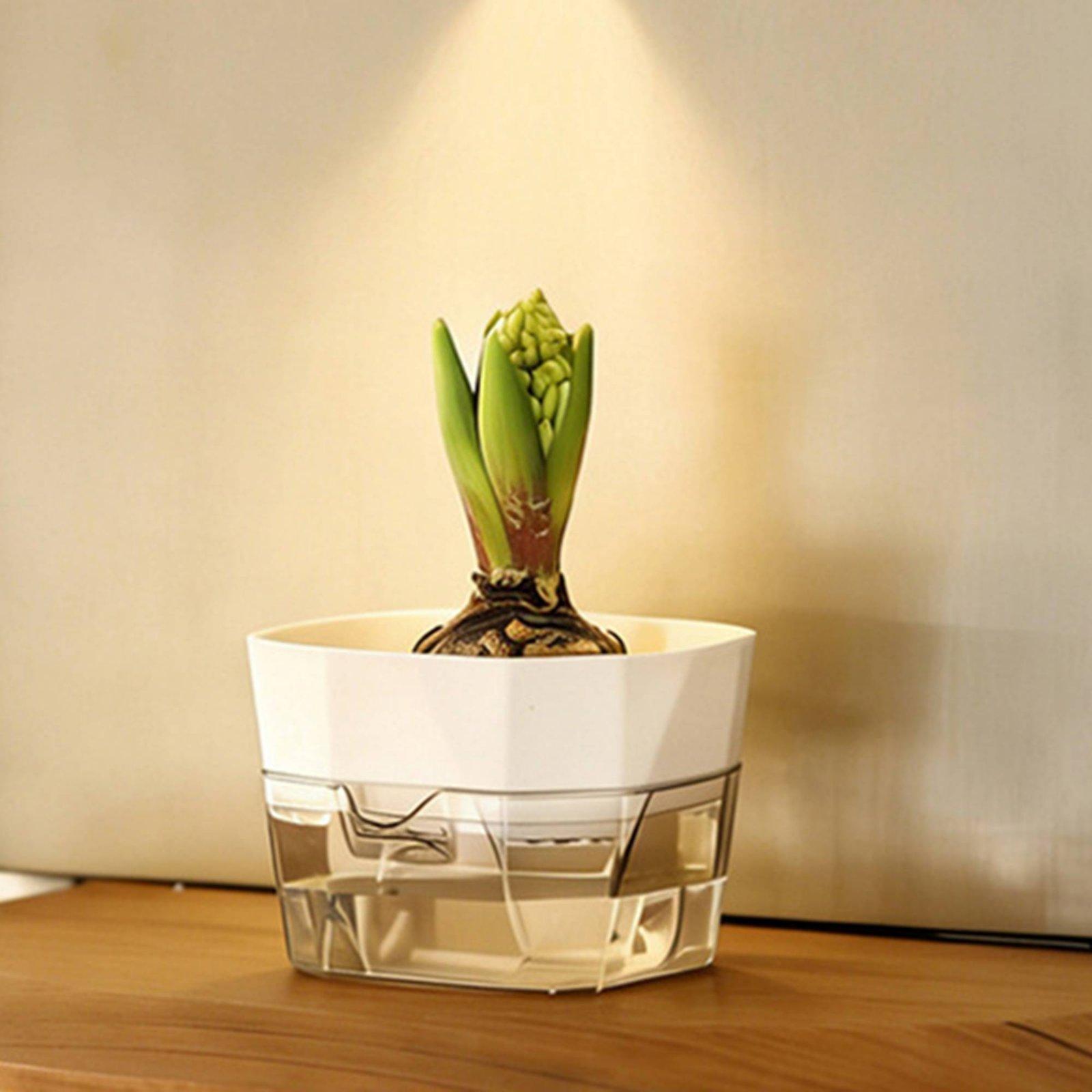 Hydroponic Vase Two Layer Self - Indoor Plants review and price