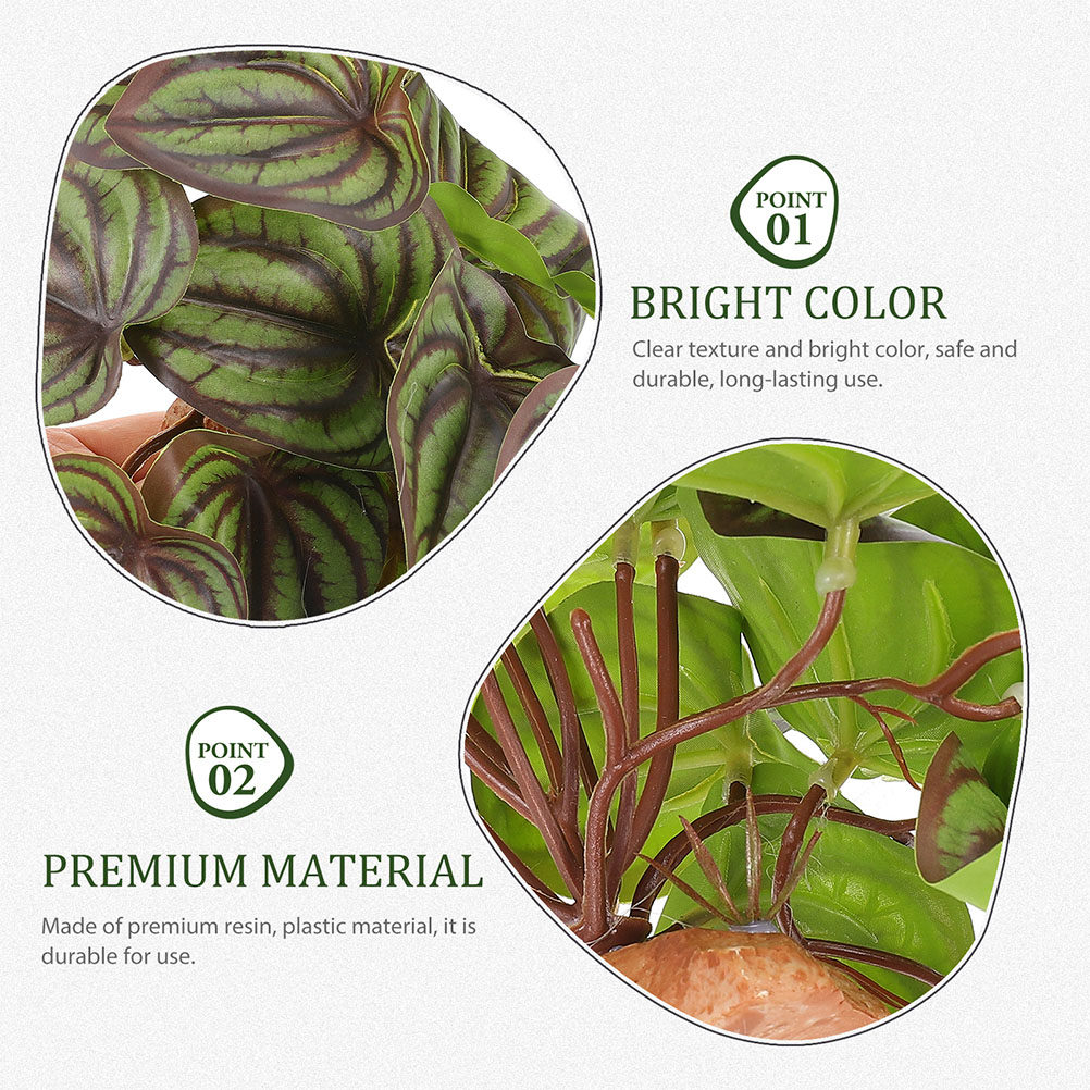 High Quality Simulation Terrar - Snake Plant review and price