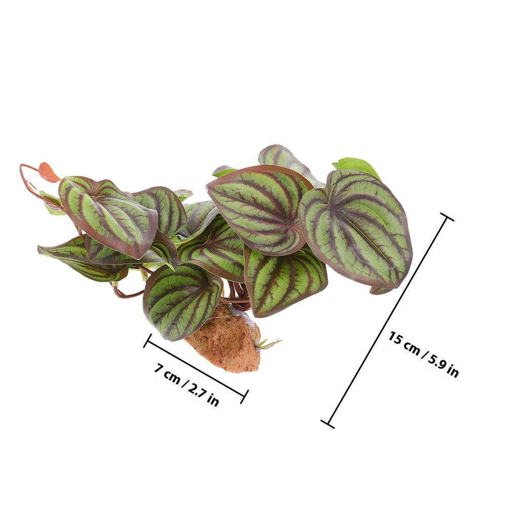 High Quality Simulation Terrar - Snake Plant review and price