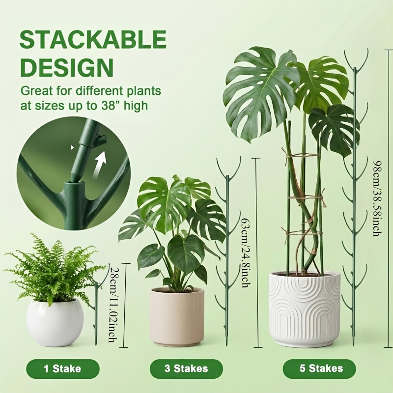 Monstera Plant Support Stakes  - Plant Support Stake review and price