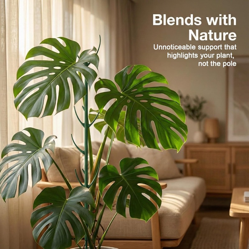 Monstera Plant Support Stakes  - Plant Support Stake review and price