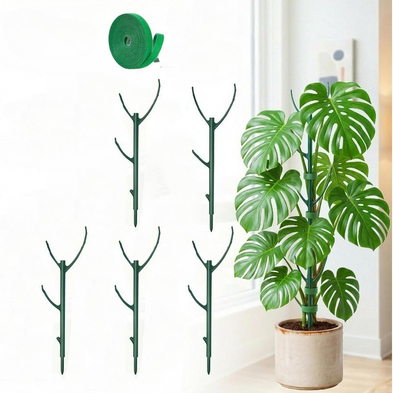 Monstera Plant Support Stakes  - Plant Support Stake review and price