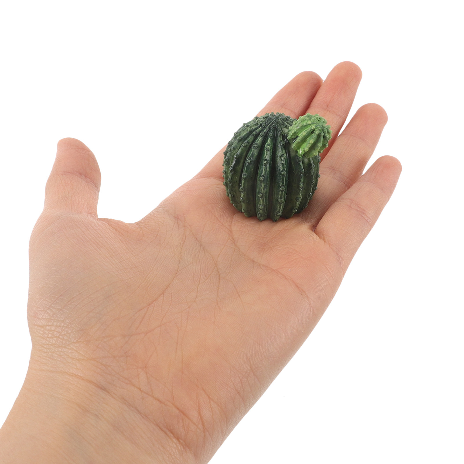 Mini Resin Cactus Succulent Pl - Succulent Set review and price