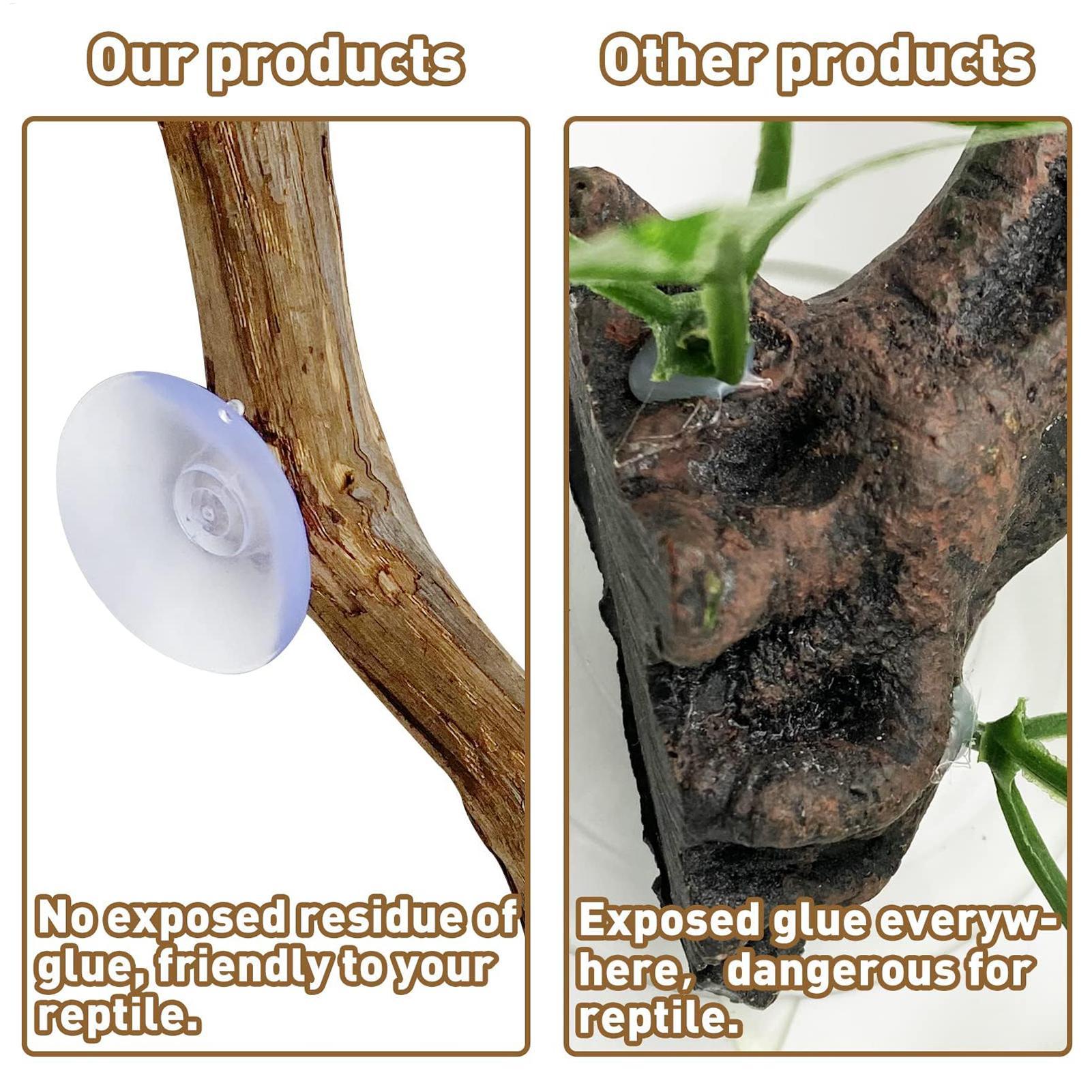 Reptile Climbing Corner Stick  - Snake Plant review and price