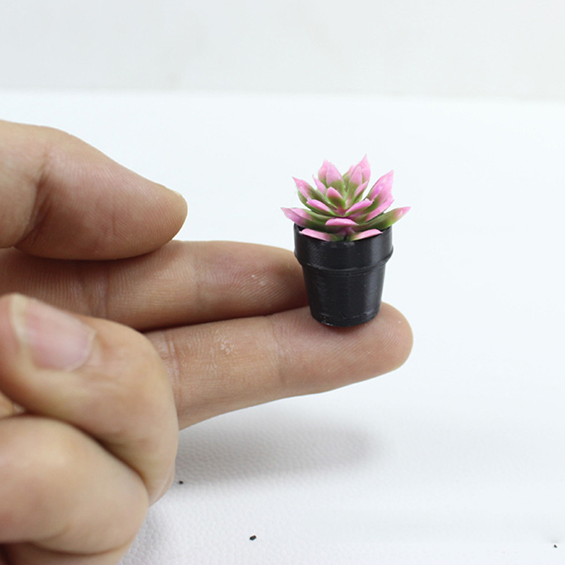 8Pcs Miniature Plastic Potted  - Succulent Set review and price