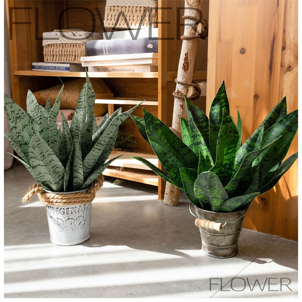Artificial PVC Snake Plant Fak - Snake Plant review and price