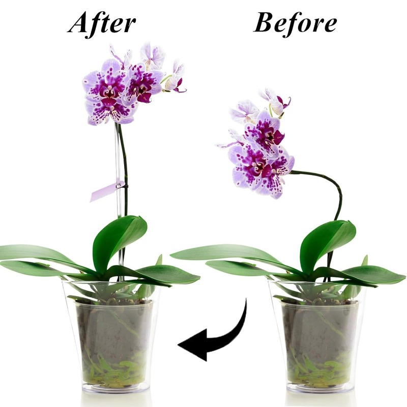 Reusable Clear Flower Support  - Plant Support Stake review and price