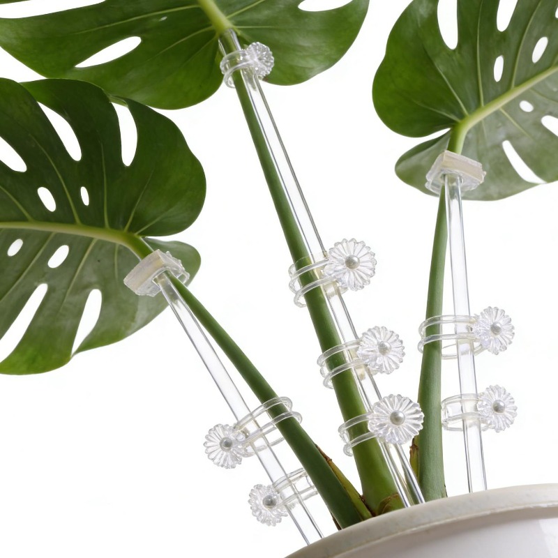 Reusable Clear Flower Support  - Plant Support Stake review and price