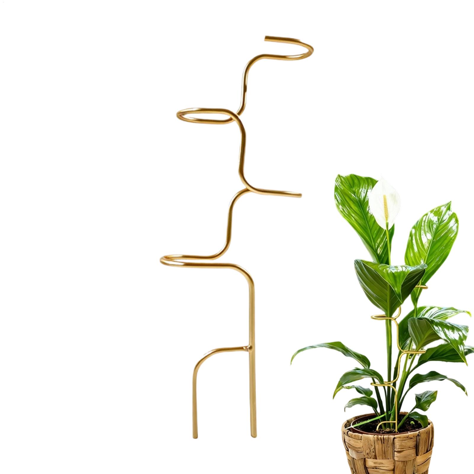 Garden Plant stem fixing suppo - Plant Support Stake review and price