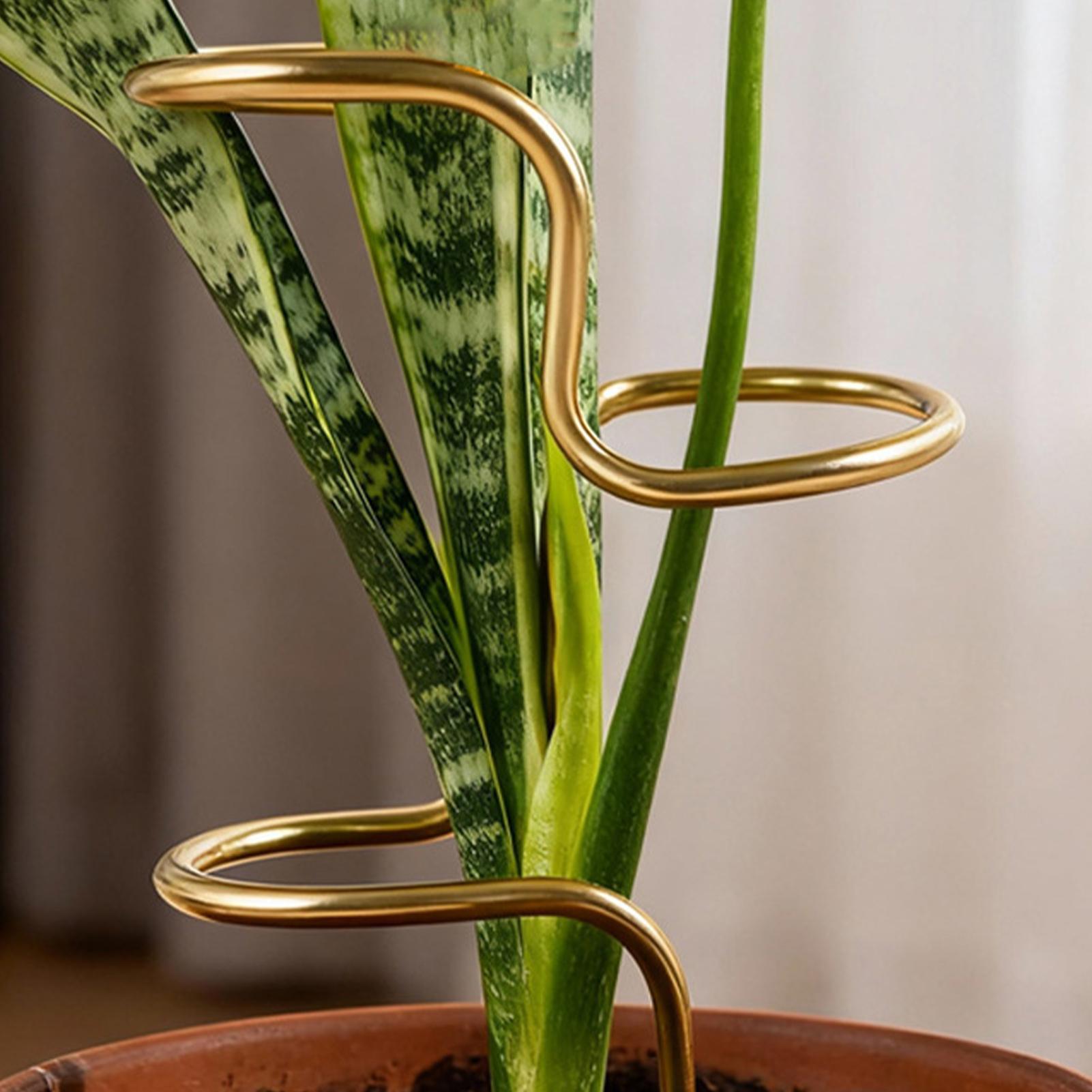 Garden Plant stem fixing suppo - Plant Support Stake review and price