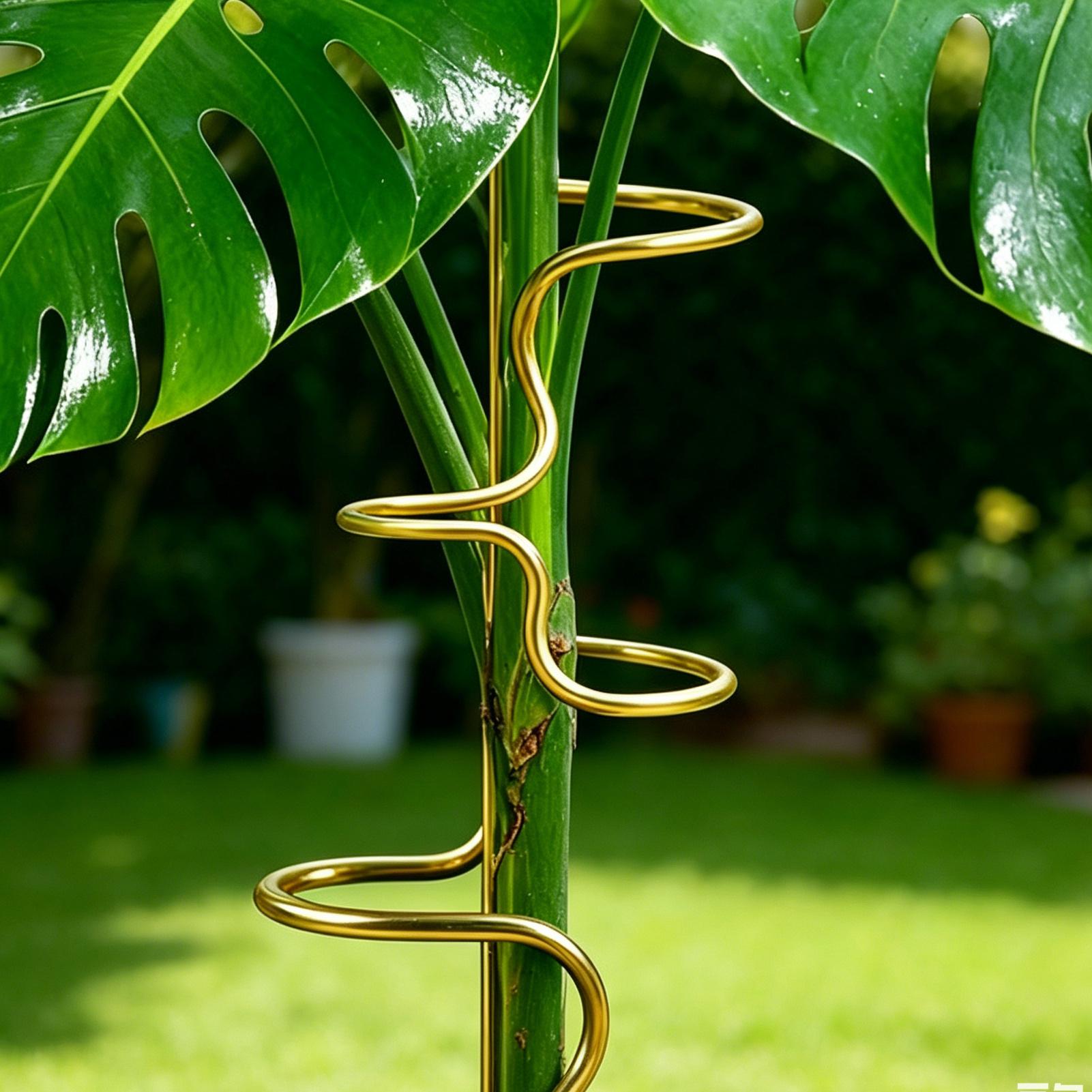 Garden Plant stem fixing suppo - Plant Support Stake review and price