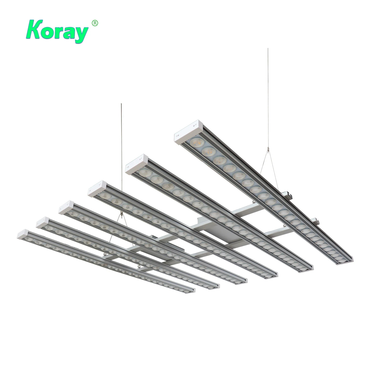 Koray 900W Indoor full spectru - Indoor Plants review and price
