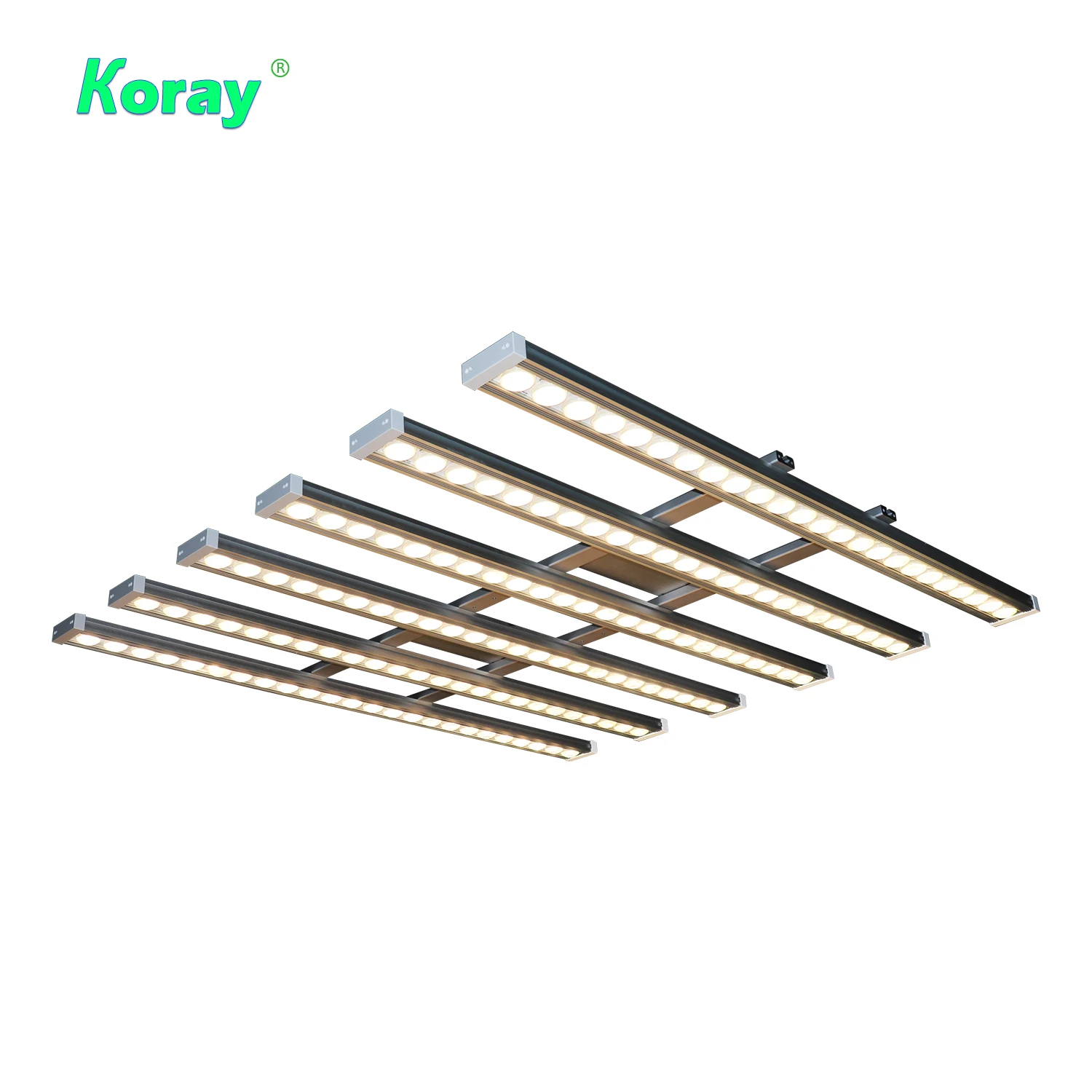 Koray 900W Indoor full spectru - Indoor Plants review and price