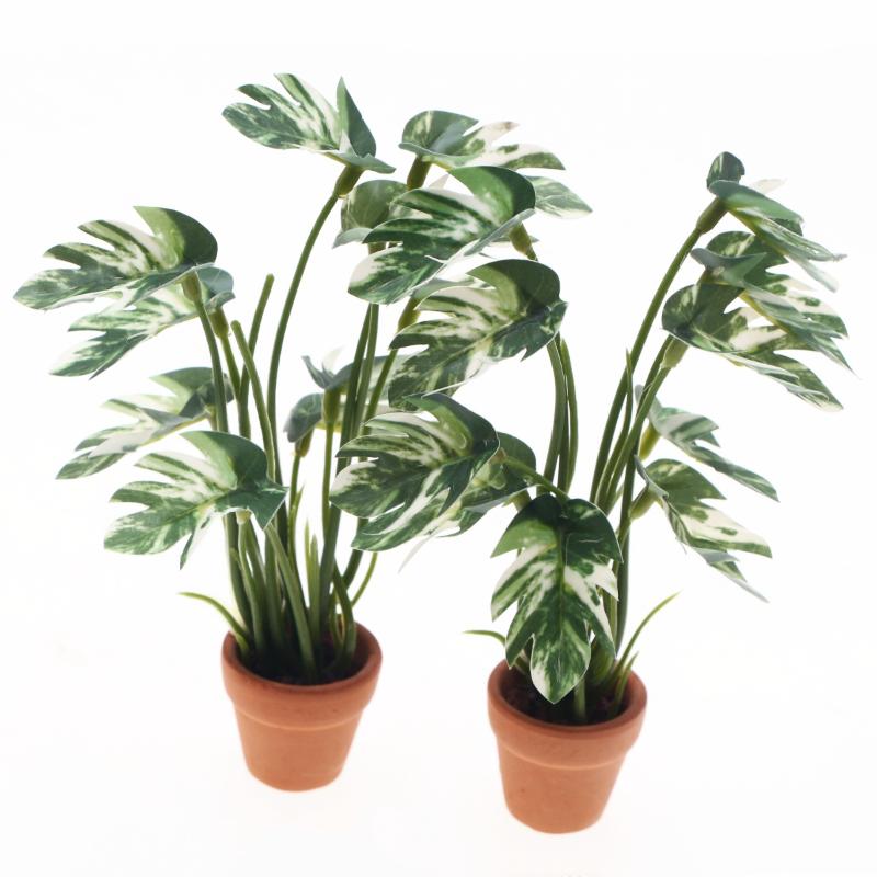 New.1PC 1/12 Dollhouse Simulat - Pothos review and price