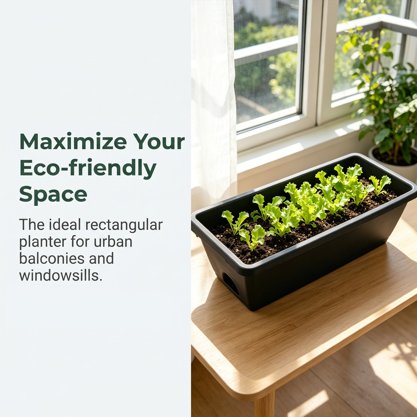Rectangular Resin Planters Set - Succulent Set review and price