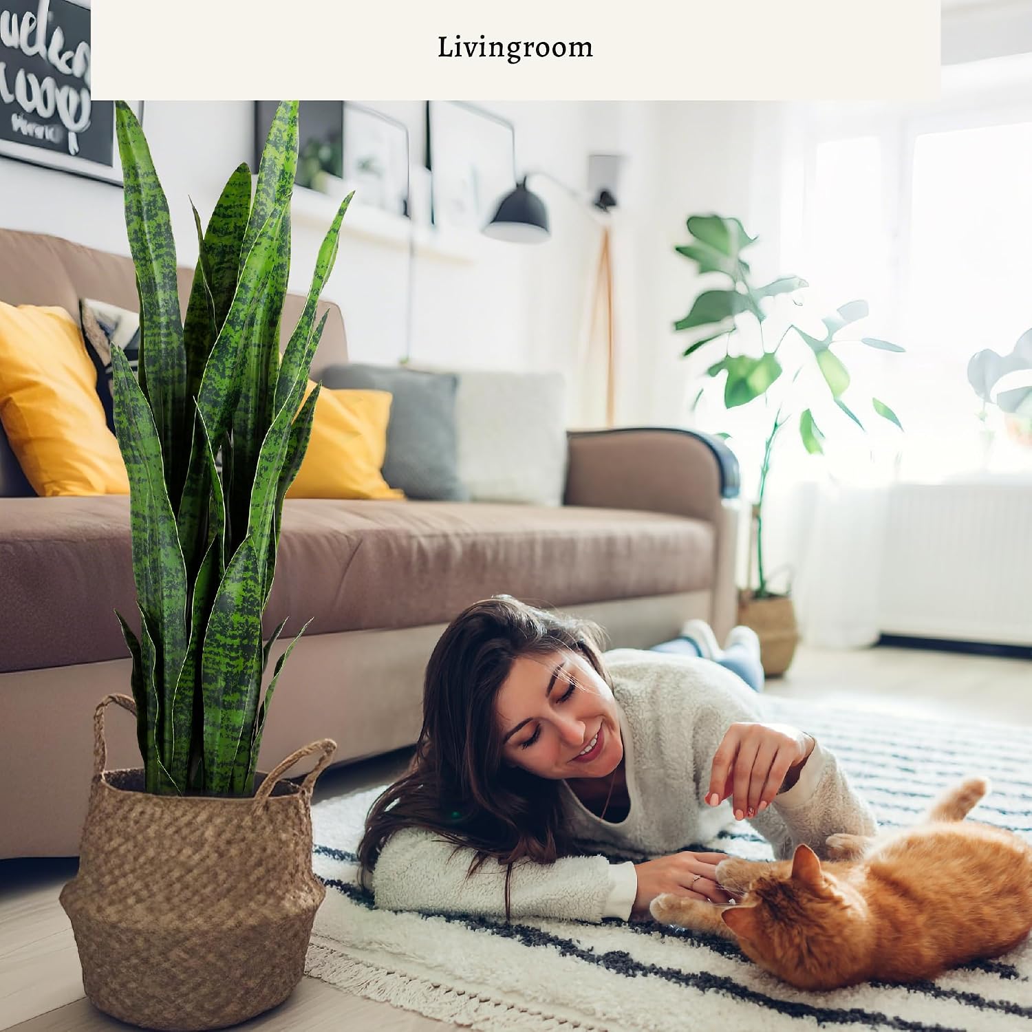 Artificial Snake Plant, 35in G - Snake Plant review and price