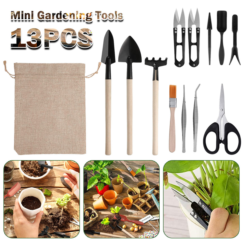 Succulent Plants Tools Mini Ga - Succulent Set review and price