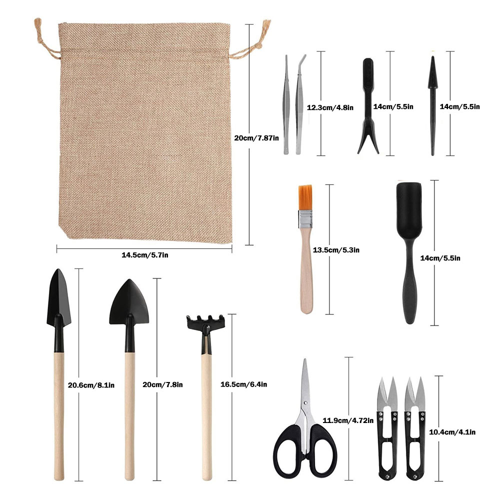 Succulent Plants Tools Mini Ga - Succulent Set review and price