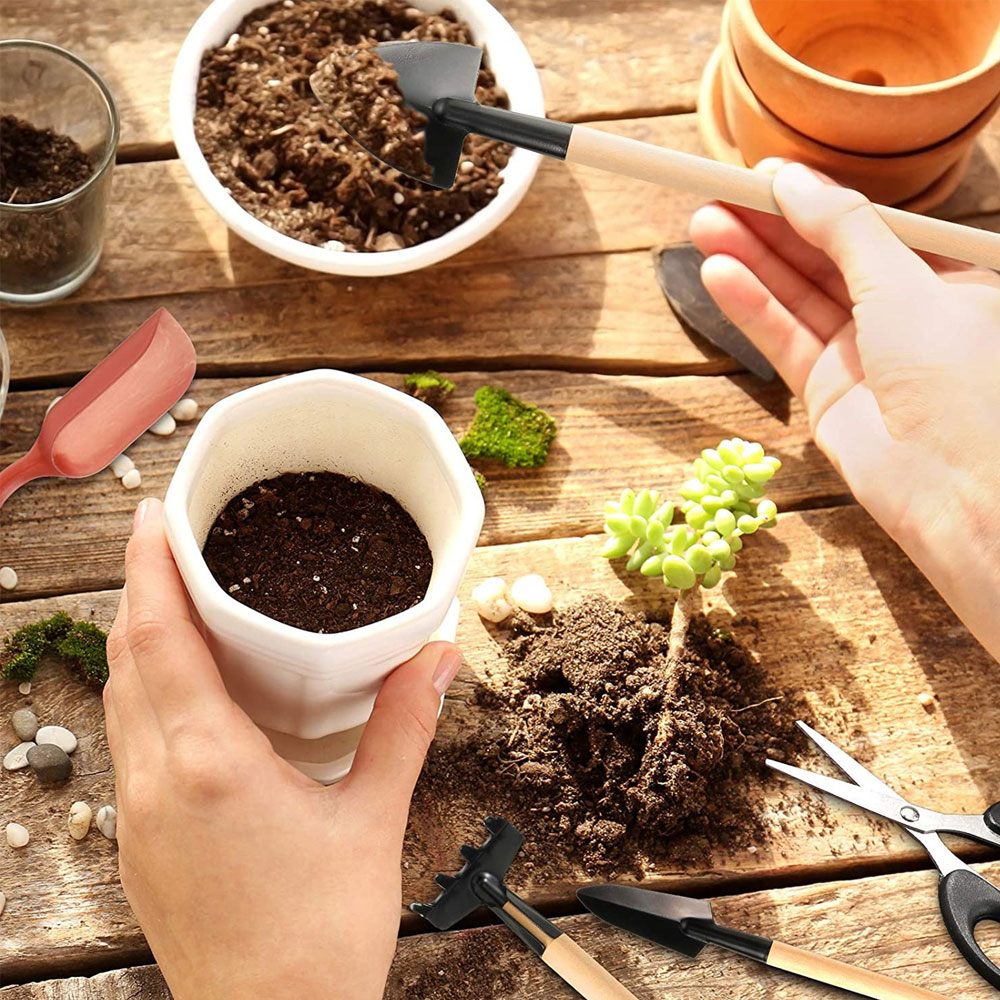 Succulent Plants Tools Mini Ga - Succulent Set review and price