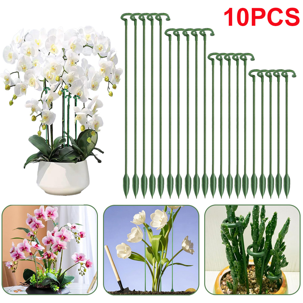 5/10pcs Plant Support Stakes P - Succulent Set review and price