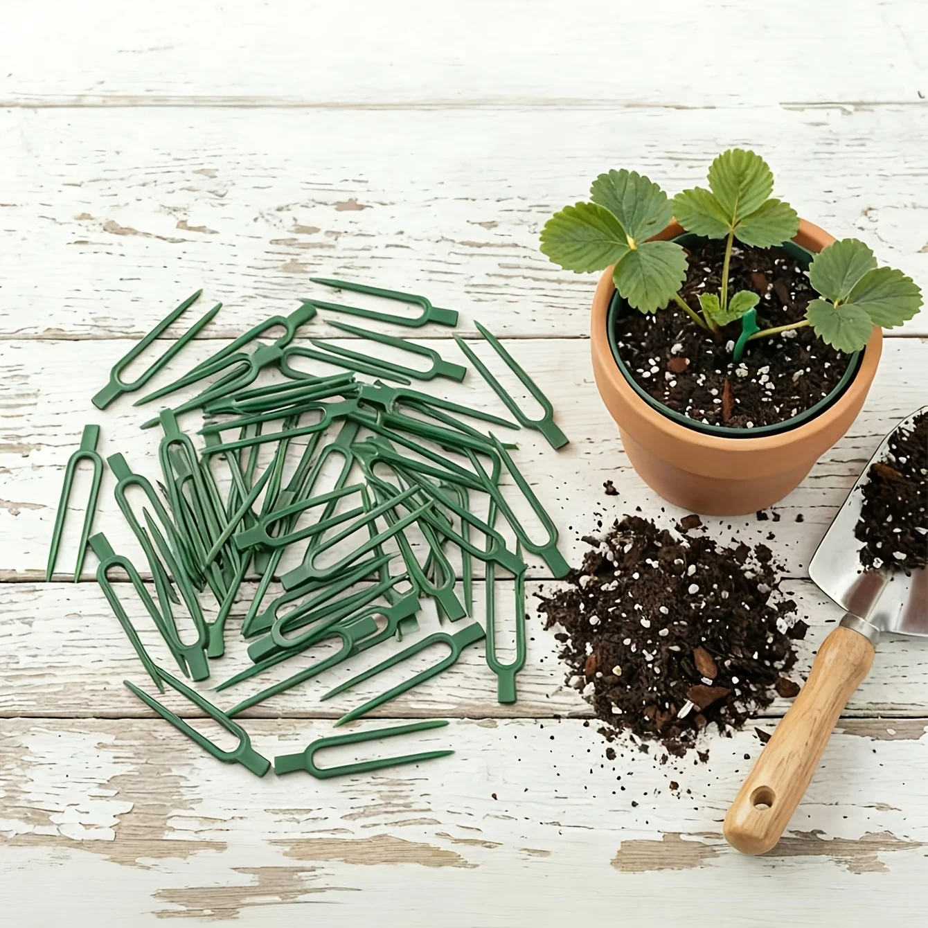 50pcs Plastic Plant Vine Sprea - Plant Support Stake review and price