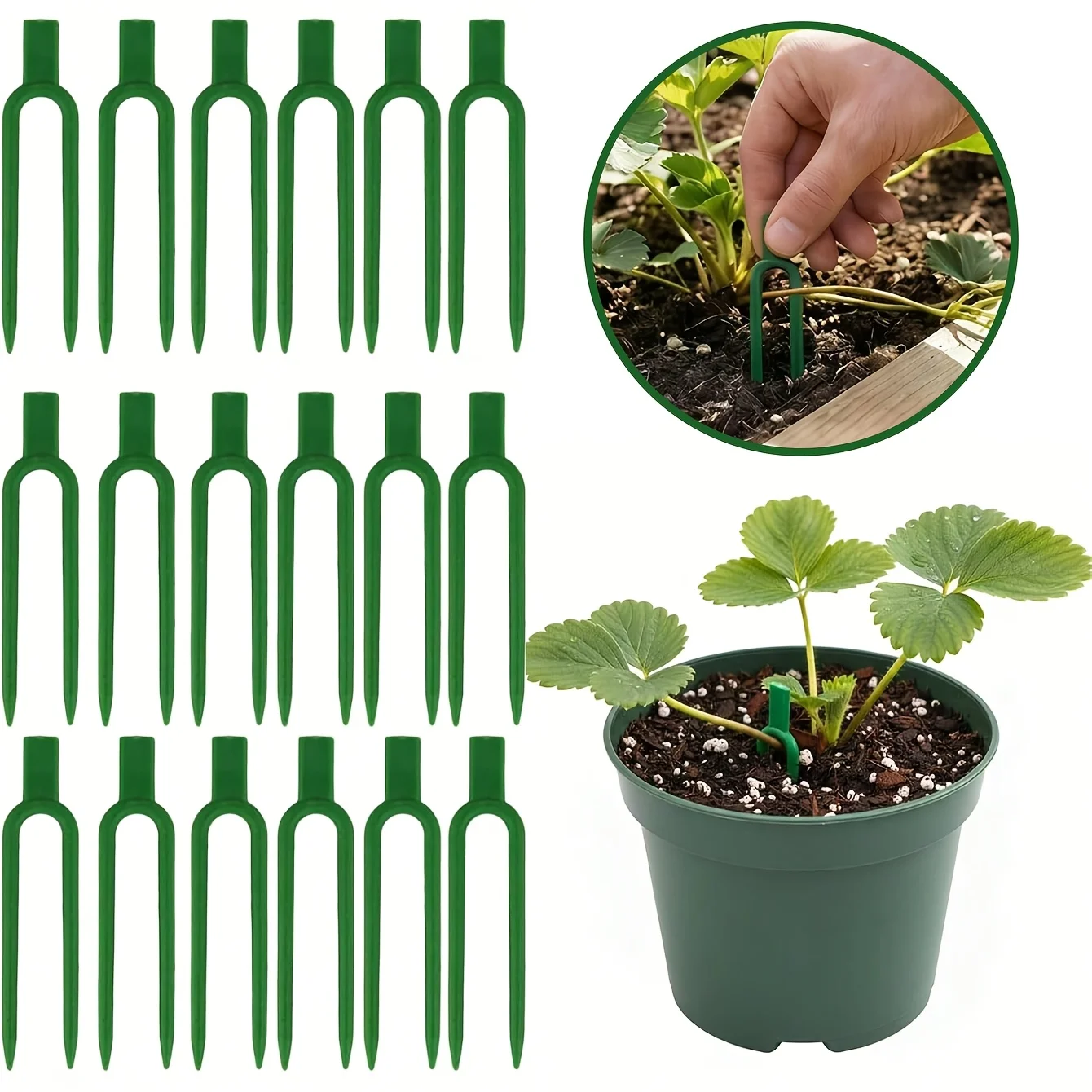 50pcs Plastic Plant Vine Sprea - Plant Support Stake review and price